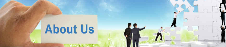 nri-tax-service-about-us